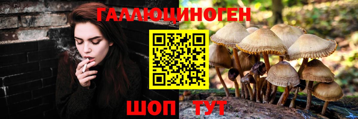 Псилоцибиновые грибы Magic Shrooms Чусовой
